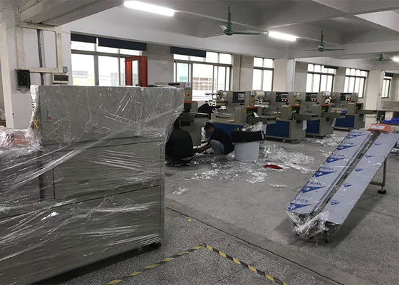 เครื่องบรรจุอาหารแช่แข็งแนวนอนสแตนเลส